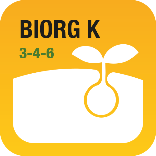 Biorg K