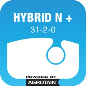 hybrid n+500